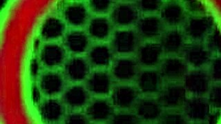 Sara Jay Playfully Interacts With A Banana In A Fun Session