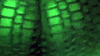 can you handle this big booty wife shaking her ass?