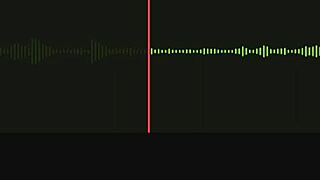 Incredible Audio Recording of Neighbor's Activities Part 1