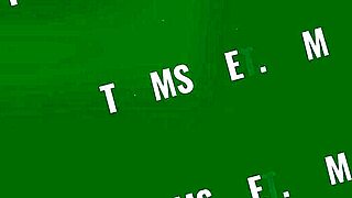 Krystal Orchid's Ginger Bush in Bracefaced Action