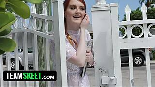 Krystal Orchid's Ginger Bush in Bracefaced Action