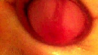 Toilet Wanking Intense Session