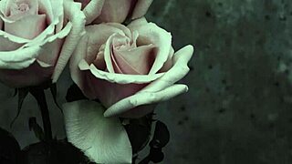 My Chemical Romance Song Subtitled