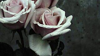 My Chemical Romance Song Subtitled