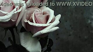 My Chemical Romance Song Subtitled