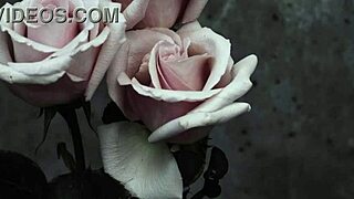 My Chemical Romance Song Subtitled