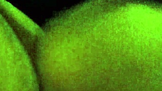 I Gave It To My Ex In Her Ass, She Screams Like Crazy