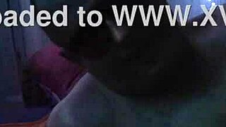 sexy homemade couple fingering each other