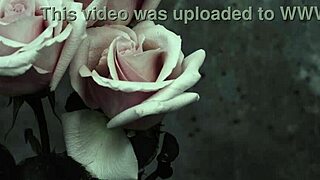 My Chemical Romance Song Subtitled