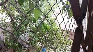 I didn't know my neighbor had a big black cock and loved anal