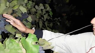 My neighbor repaid grapes with wild cunnilingus, unreal! 😍