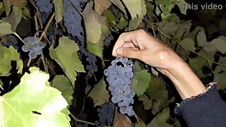 My neighbor repaid grapes with wild cunnilingus, unreal! 😍