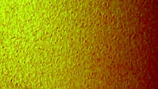 Cheap mature Asian hooker gets intense licking and creampie in homemade missionary