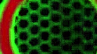 Pigtails Richelle Ryan Rides Rome Major's Monster Cock In Wet Doggystyle