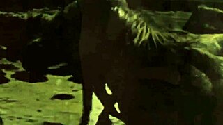 My Secret Life Blowjob Vintage Retro!