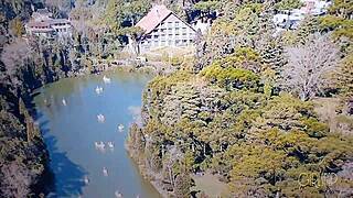 The tourist matches with pretty larissa