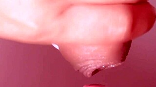 japanese porn tale unfolds with close-up blowjob and cumshot