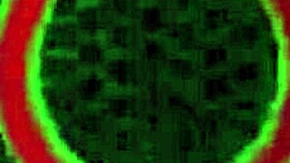 jessica jaymes gets bold cunilingus on her wet big pussy lips