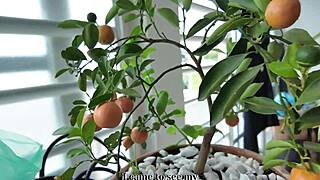 My Roomie With The BIG ASS Is MODELING For Me In POV