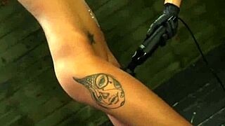 Kendra Cole's submission to bondage toys creates an intriguing contrast.