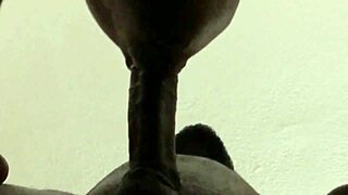 He was cumin and i kept sucking-big cum load