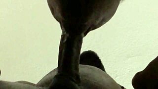 He was cumin and i kept sucking-big cum load