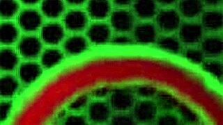 Porsha carrera and sara jay share lesbian kisses with sex toys