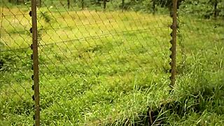 impressive sex scene in gogo adultery with wife fucked in front of husband 😏