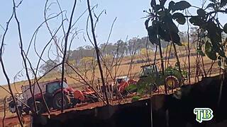 do the cane cutters fuck my wife's ass?