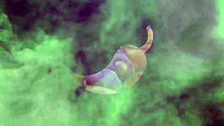 hydrating the sensual machine