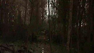 Let's play stripped of title backlash part 4