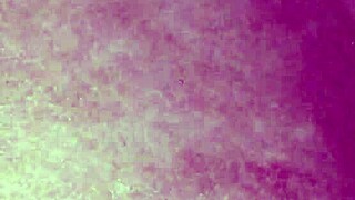 Trade With My Salvador Client