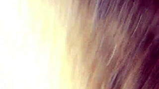 Neighbor Visit Involves Panties, Bra, And Sucking