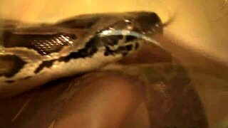 Simple Beauty Filmed In India!