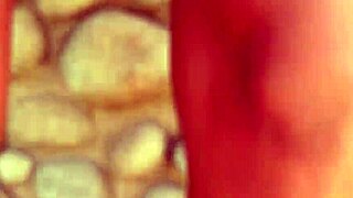 bombom chamou pirocudo pra chupar sua buceta e foder com força in lingerie