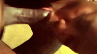 npleasure's expert dick sucking