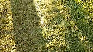 Neighbor Thanks With Cunnilingus