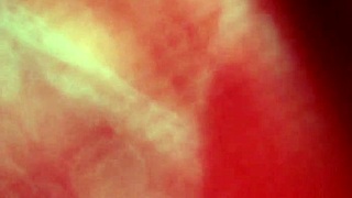 Femdom Roleplay Puts Bitchboy in Place with Ass