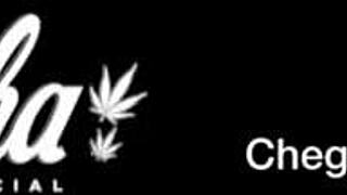 you fucked that young girl in the public bathroom after carnival?