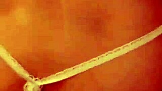 my vietnamese wife is such a slut in doggy style