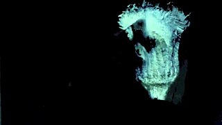 Dark Lantern Presents Sins of Ancestors in Erotic Confessions.