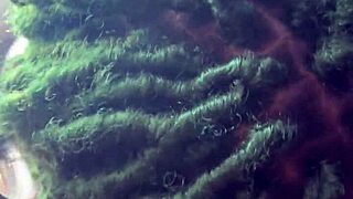 Big daddy chevy impala deepthroat rides add snapchat biiggdaddyy94.