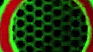 Alix Lovell in Lingerie Showcases Her Curves