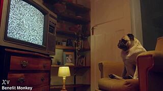 Benefit Monkey Liz Rainbow Blue-Eyed Girl Mouth Full Of Semen