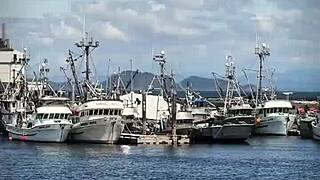 Asian ladyboy lexi faith's summer vlog