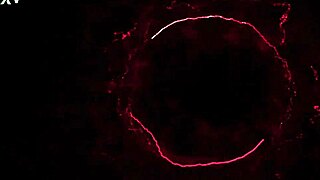 Trailer: Allison Bloom's Shower Anal Fisting