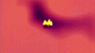 sendo fodida por um pau grande caroleta roots big rasta