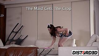 Mistress Is Not Gonna Be Happy About This Sapphire Blue & Cherry Blush For Distorted