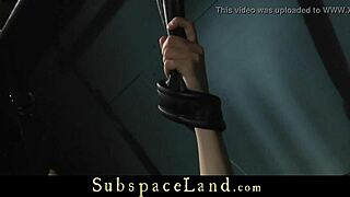 Box-Bandaged And Punished In The Attic