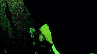 beautiful blonde wife with big tits and cute smile